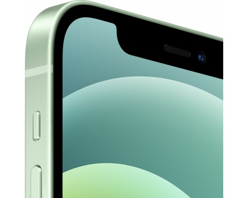 Смартфон Apple iPhone 12 256GB Green (Зеленый) Dual Sim