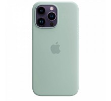 Оригинальный чехол iPhone 14 Pro Silicone Case with MagSafe Succulent